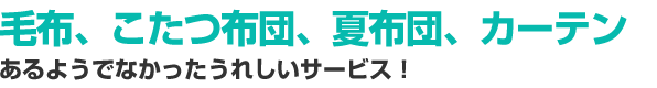 毛布、こたつ布団、夏布団、カーテン