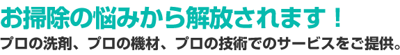 お掃除の悩みから解放されます！ - プロの洗剤、プロの機材、プロの技術でのサービスをご提供。